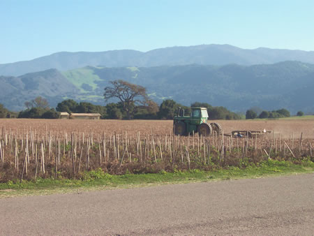 Santa Ynez, California