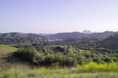 Green rolling hills of Elephant Hill park with blue sky and the Los Angeles skyline on the distant horizon. 