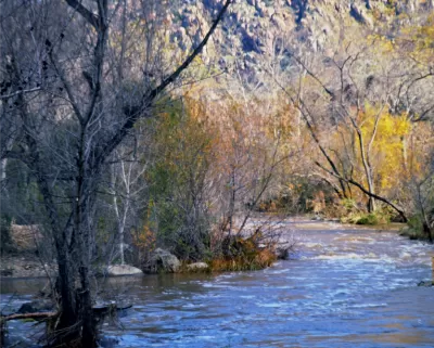 The San Diego River where it passes through the Mission Trails Regional Park.