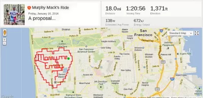 Strava Proposal