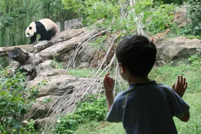 Zoo