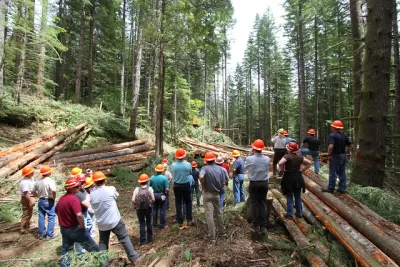Wood, Timber, Forestry, Logging