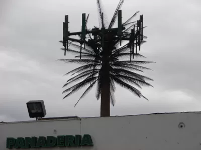 Cell Tower, MonoPalm, Los Angeles