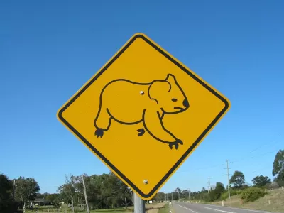 Koala Sign