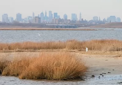 Jamaica Bay 