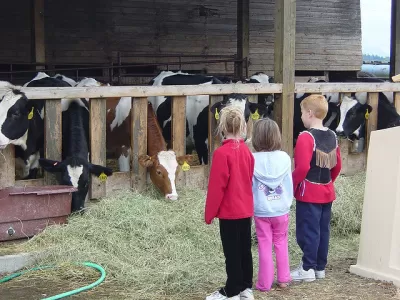 Family Farm