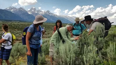 Citizen Science Day in Bridger-Teton National Forest