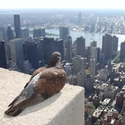 Manhattan