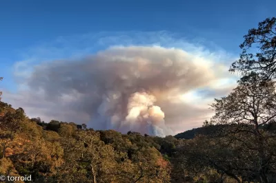 Wildfire