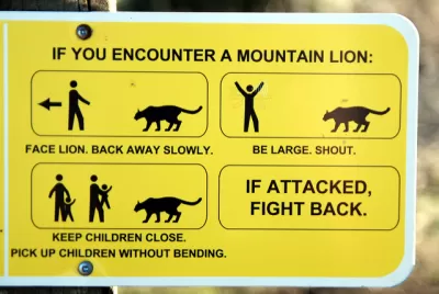 WIldlife