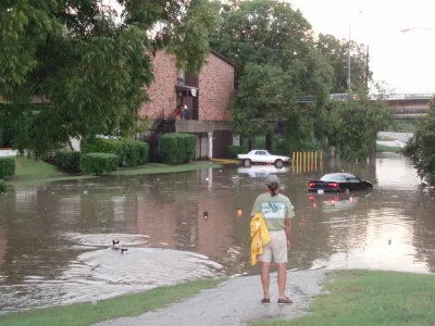 Person stands on sidewalk looking at flooded street in Houston, Texas with one car submerged in street and two dogs swimming across.