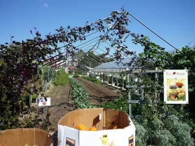 Philadelphia Urban Farm