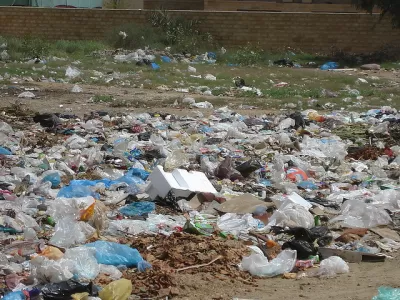 Plastic Bag Litter