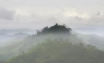 Panama City Rainforest Fog