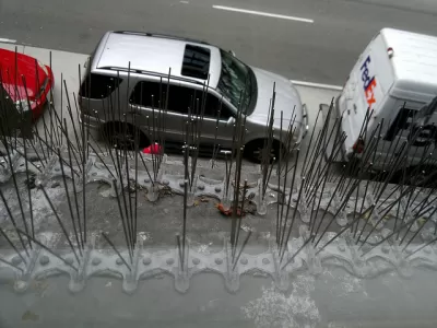 Bird Poop Prevention