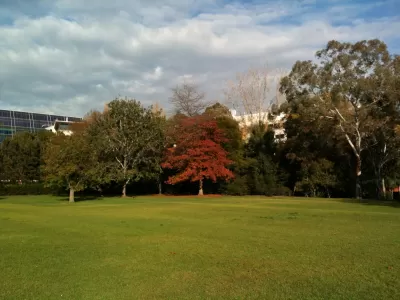 Melbourne University lawns