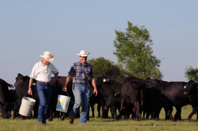 Cattle Farmers