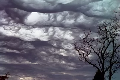 Asperatus