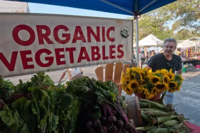 Organic Agriculture