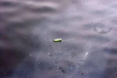 Gowanus Canal, Dirty Water
