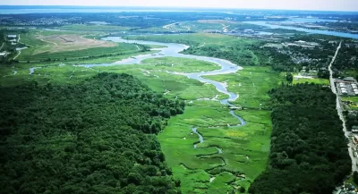 AErial view of lush green Freshkills Park wetlands surrounded by trees in Staten Island, New York.