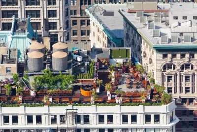 Aerial view of rooftop garden in New York City.
