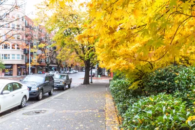 Sidewalk in Seattle with yellow fall leaves on the ground and cars parked next to the curb.