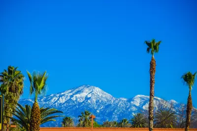 Tall palm trees against bright blue sky with snowy mountains in background. Los Angeles, California.