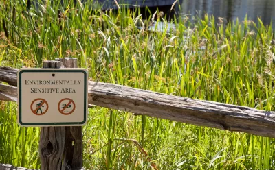 "Environmentall sensitive area" sign on rustic wooden fence with tall green grass in background.
