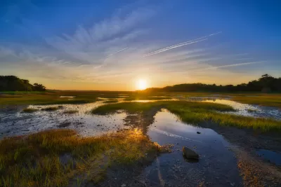 View of wetlands in South Carolina at sunrise or sunset