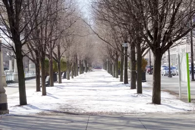 Snowy walkway in Chicago in winter flanked by medium-sized trees.