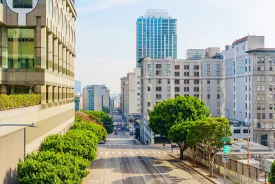 Looking out at trees on 4th Street in downtown Los Angeles, California.