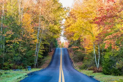 Straight black asphalt road through forest with colorful fall foliage.