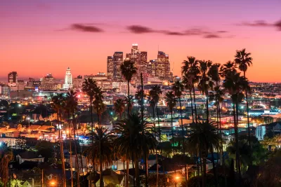 Nighttime view of downtown Los Angeles skyline with tall palm trees in foreground.