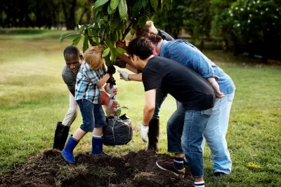 Group of people planting a small tree.
