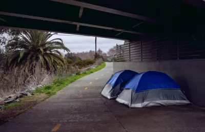 Two blue and white tents on a paved bike trail under an overpass in San Diego, California with palm tree and vegetation on one side