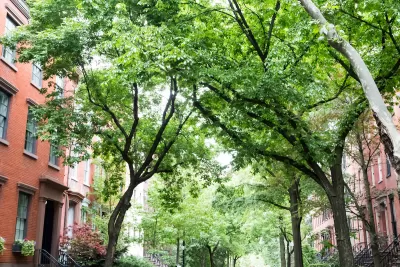 Tree lined residential street in the historic West Village neighborhood of Greenwich Village in Manhattan, New York City.