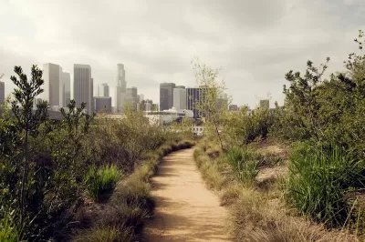 View of dirt trail between shrubs with downtown Los Angeles skyline in background.