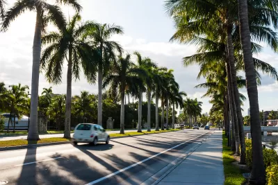 View of palm tree-lined boulevard in Miami, Florida with white PT Cruiser driving by.