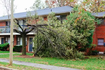Tree fallen on home in Texas afetr Hurricane Harvey.