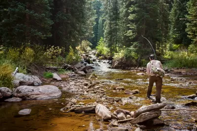 Fly fisherman standing in small creek in Colorado surrounded by trees