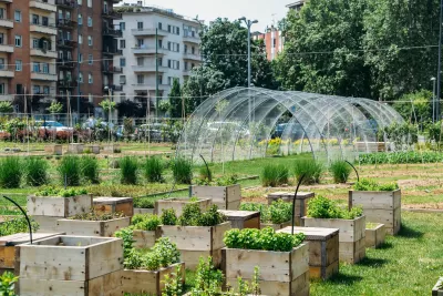Planter boxes and hoop tunnel with housing in the background