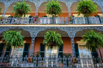 View looking up at wrought iron French Quarter balcony in New Orleans with bright green fern plants in planters.