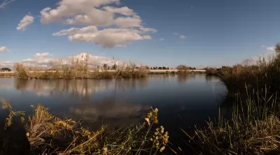 View from shore of Sepulveda Basin water catchment basin with marsh plants along shore.