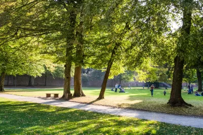 City park with paved walkway, green trees, and people sitting on lawn.