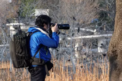 Man in blue jacket photographs birds outdoors with zoom lens