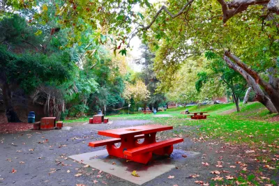 Red picnic benches in lush forested area in Griffith Park in Los Angeles, California.