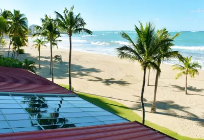 Close-up of rooftop solar panel on sandy peach with tall palm trees.