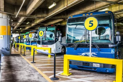 Row of blue intercity buses parked at Washington D.C. Union Station.