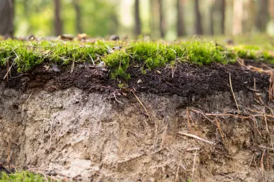 Side view of layers of grass and soil